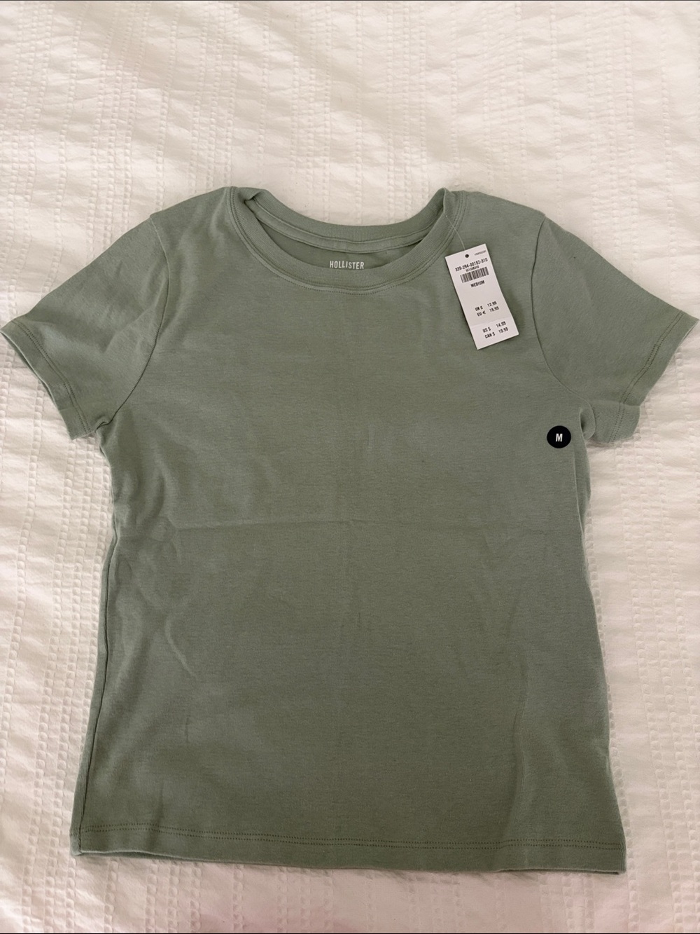 Hollister Light Sage Short Sleeve Tee